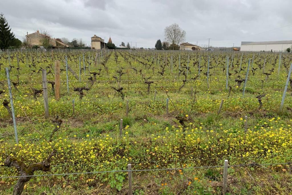 Chateau Roseyrol Proche Saint-Emilion Esterno foto