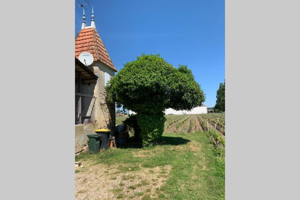 Chateau Roseyrol Proche Saint-Emilion Esterno foto